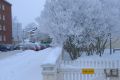 DSC_4081_1024x685