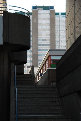 DSC_0782_516x768