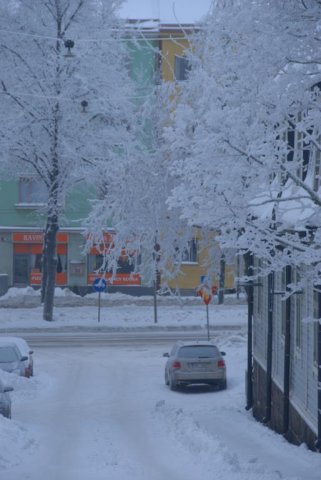 DSC_4056_514x768
