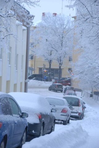 DSC_4079_514x768